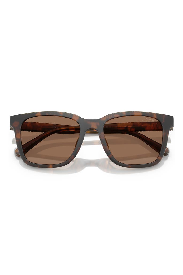 54mm Square Sunglasses, Alternate, color, MATTE TORTOISE / BROWN SOLID