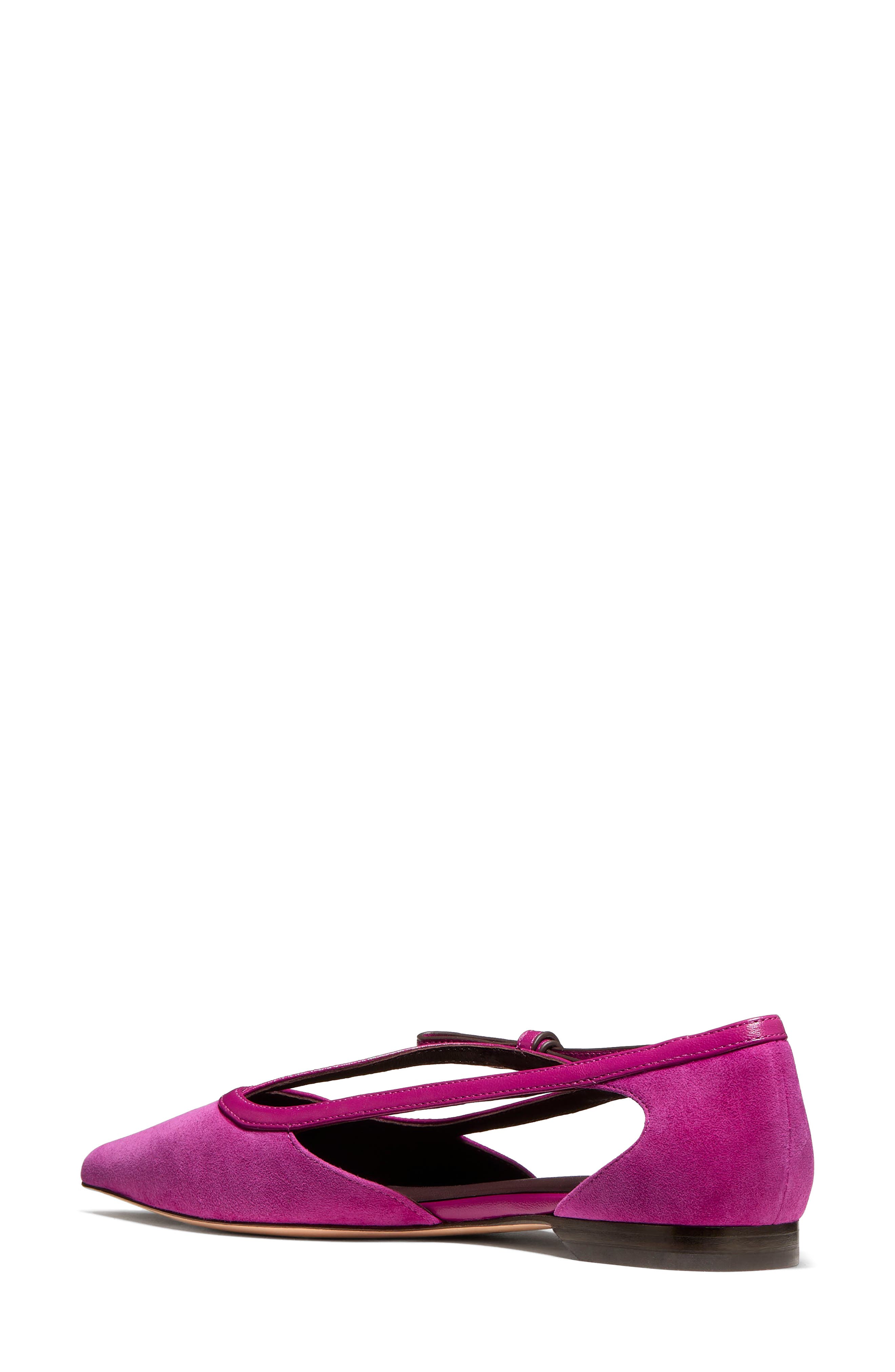Loop Pointed Toe Flat, Alternate, color, BEET