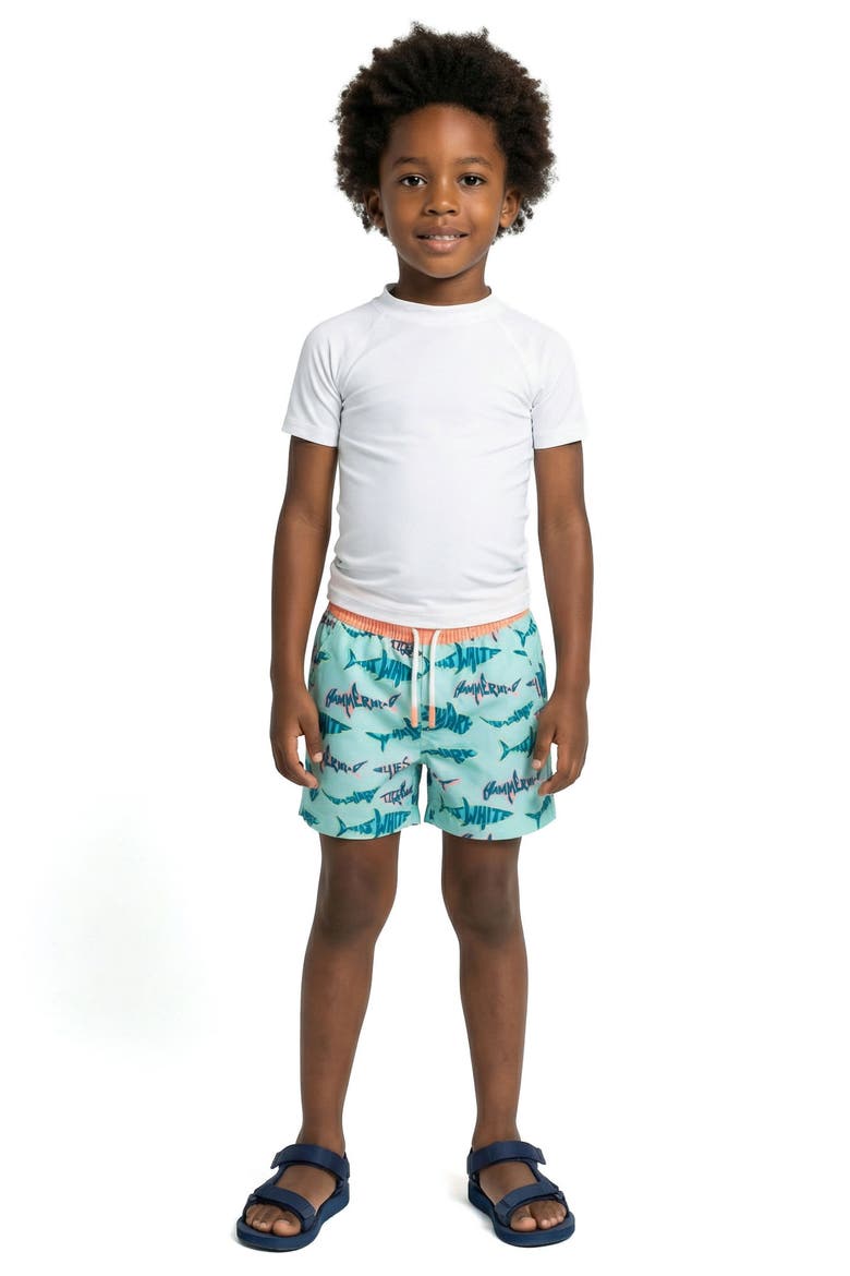 Kids' Volley Swim Trunks, Alternate, color, AQUA SHARK
