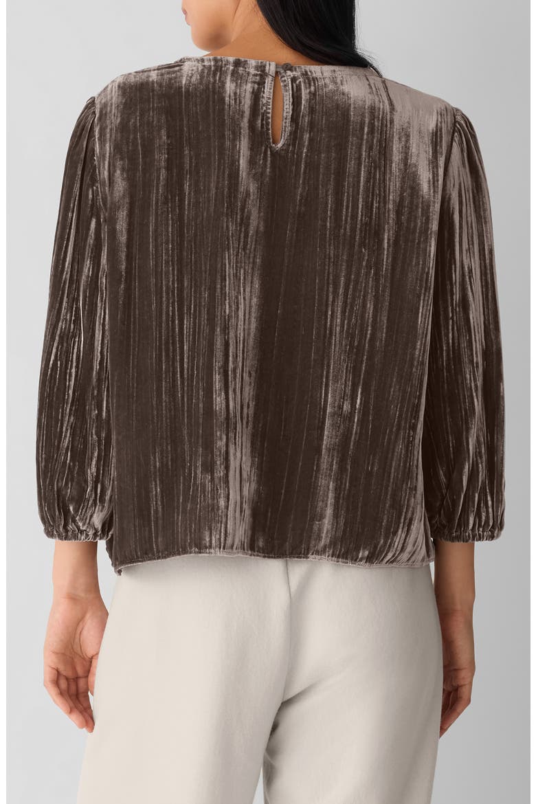 Bubble Sleeve Velvet Top, Alternate, color, RYE