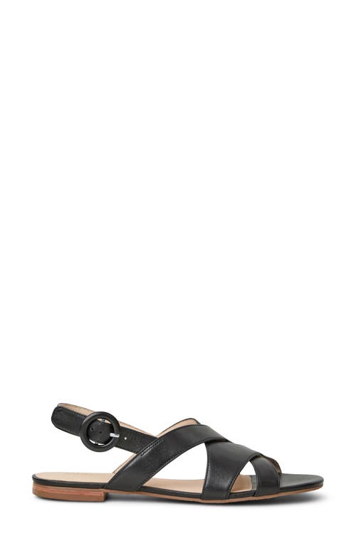 Jack Rogers Erin Slingback Sandal In Black