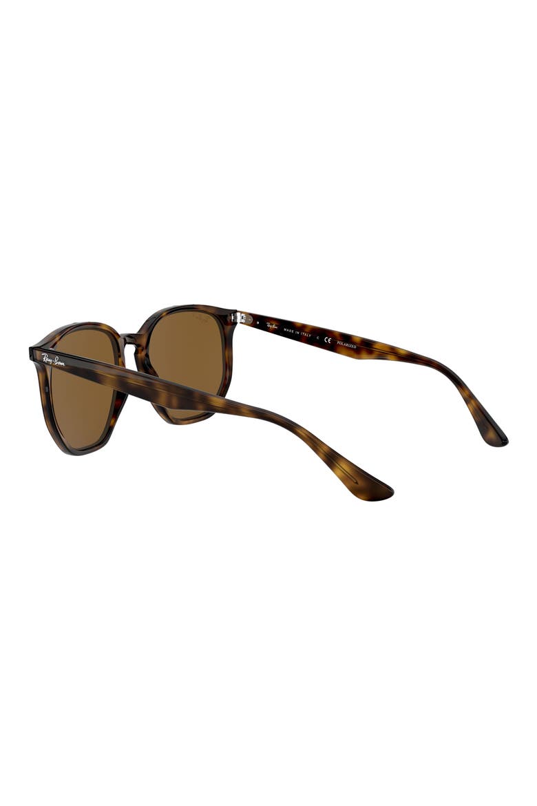 54mm Polarized Round Sunglasses, Alternate, color, HAVANA/ BROWN SOLID
