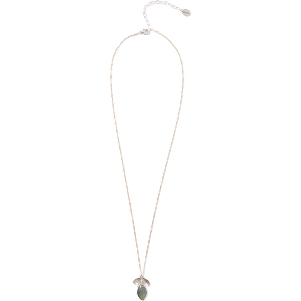 Chan Luu Petal Pendant Necklace In Gray