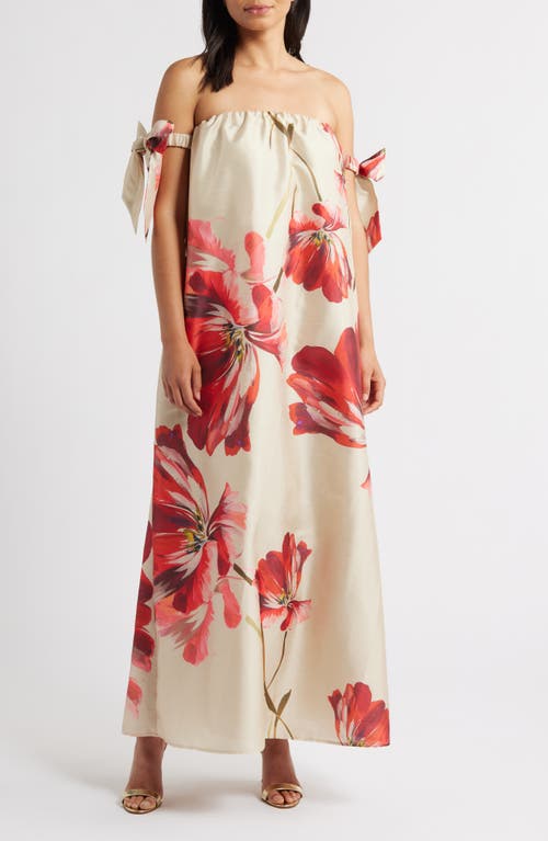 Hutch Iris Maxi Dress In Taupe Breezy Bloom