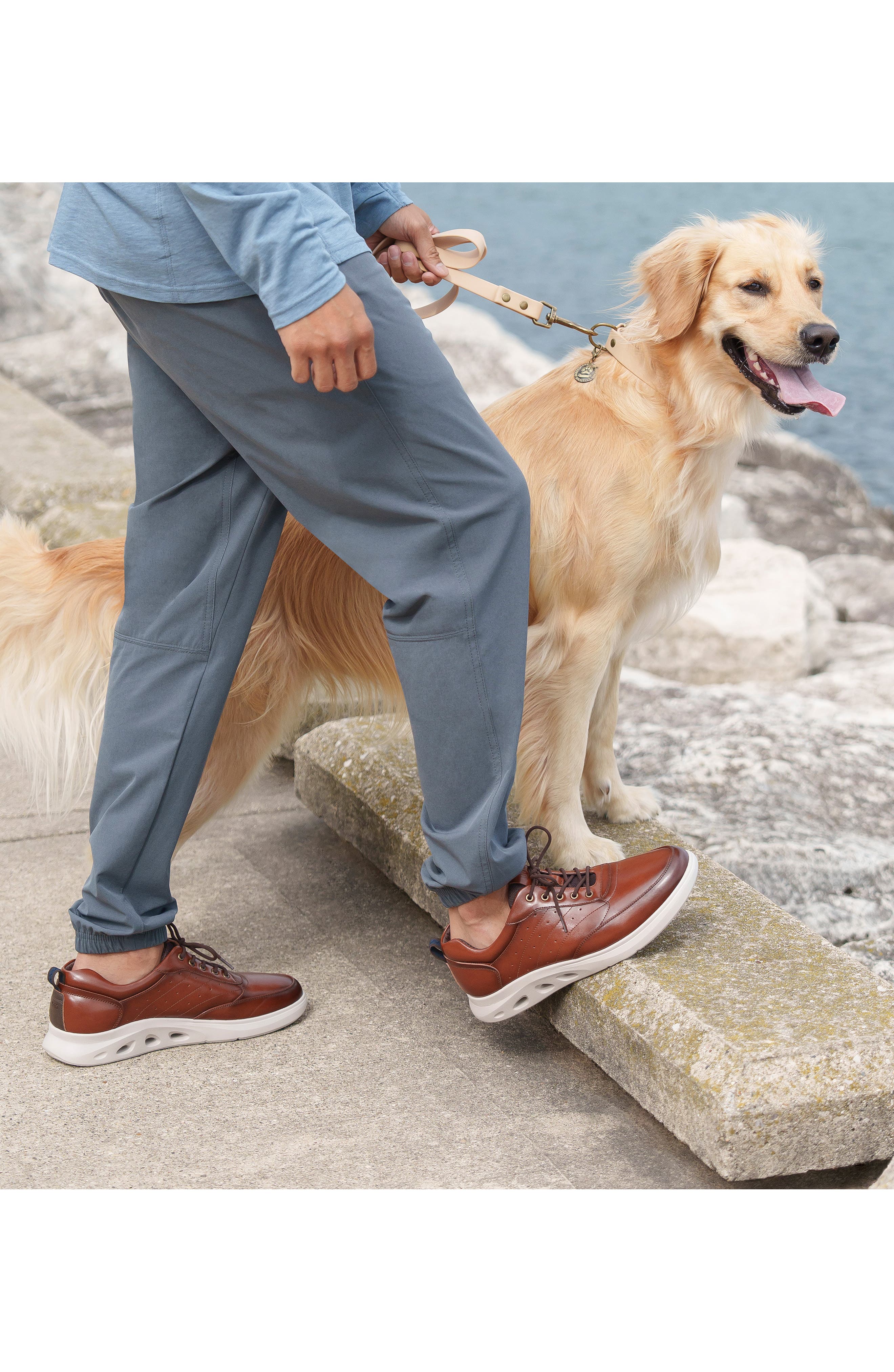 Ponte Moc Toe Sneaker, Alternate, color, COGNAC MULTI