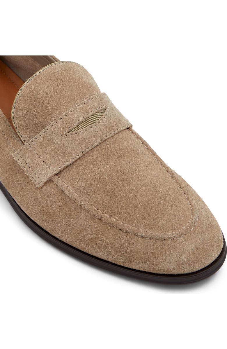 ALDO Journey Loafer, Alternate, color,