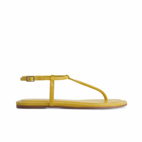 BERNARDO FOOTWEAR BERNARDO FOOTWEAR HERCU T-STRAP SANDAL 