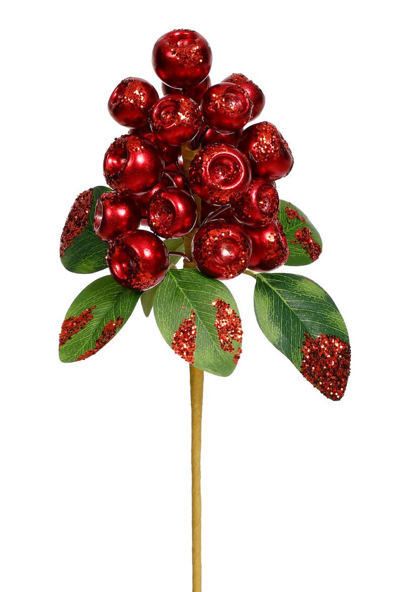 Pod Berry Cluster Pick, Set of 12, Main, color, Red