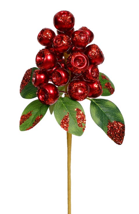 Pod Berry Cluster Pick, Set of 12
