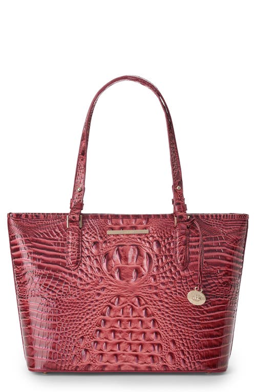 Brahmin Medium Asher Croc Embossed Leather Tote