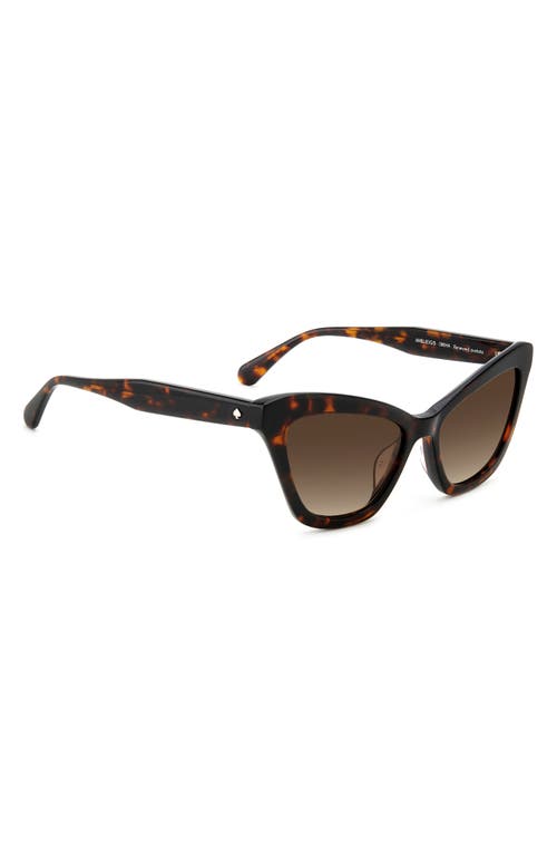 Kate Spade New York Amelie 54mm Gradient Cat Eye Sunglasses In Brown