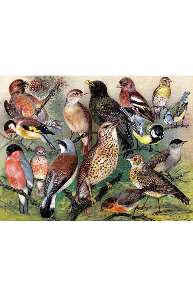 NEW YORK PUZZLE COMPANY Songbirds 1000 Piece Puzzle, Alternate, color, NO COLOR