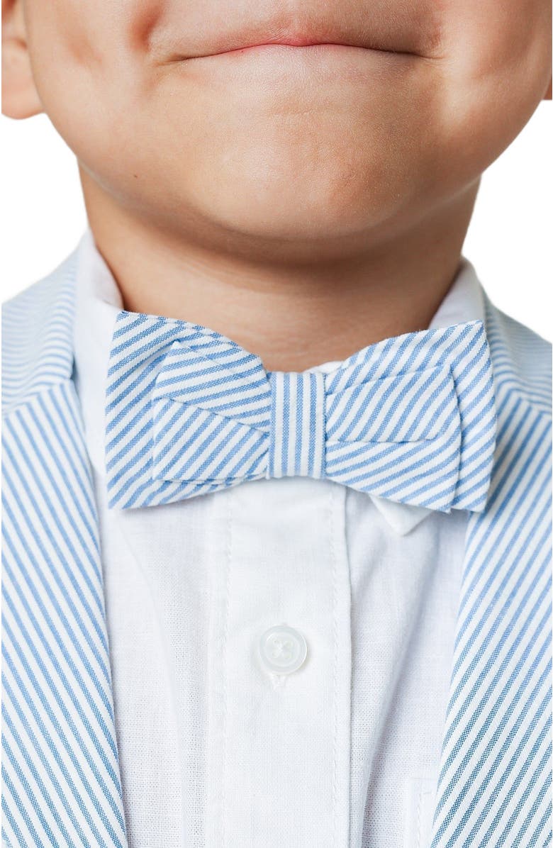 Hope & Henry Boys' Classic Bow Tie, Alternate, color, 