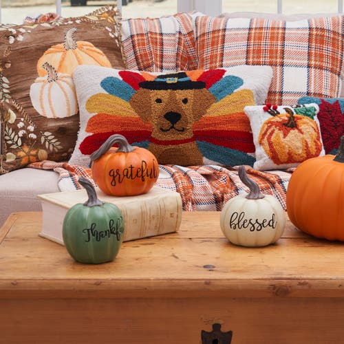 C & F Home C&f Home Pilgrim Turkey Pets Hooked Pillows In Multi