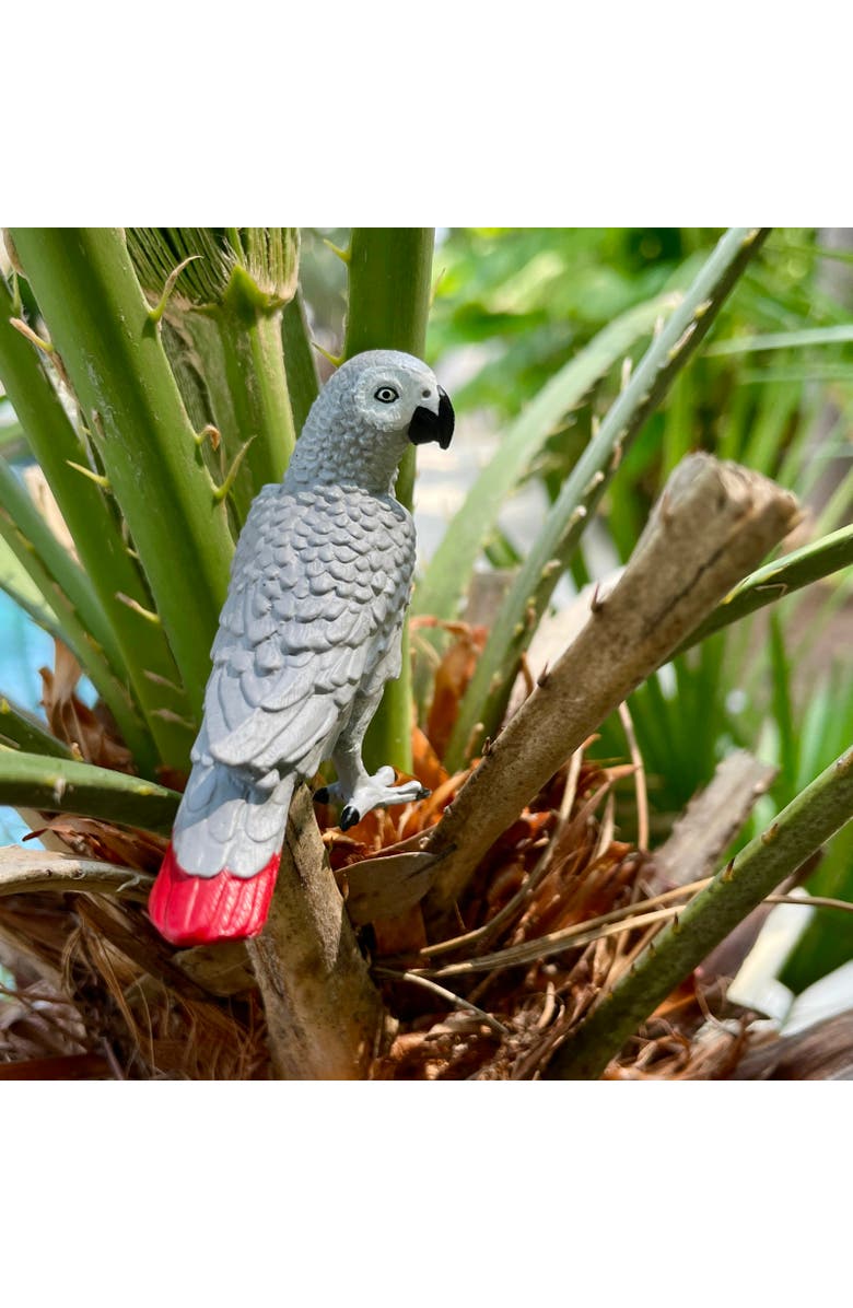 Safari Ltd. African Gray Parrot Kids Toy Figure, Alternate, color, NO COLOR