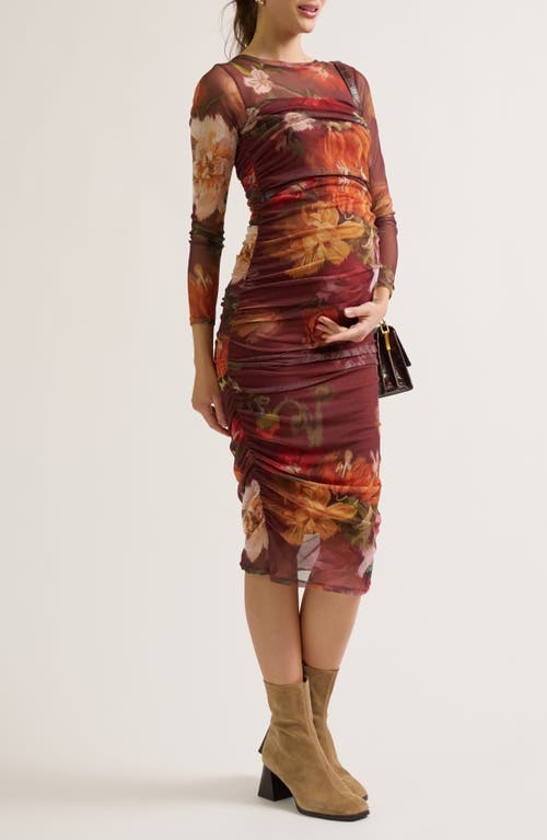 Cache Couer Vanessa Maternity & Nursing Dress In Multi