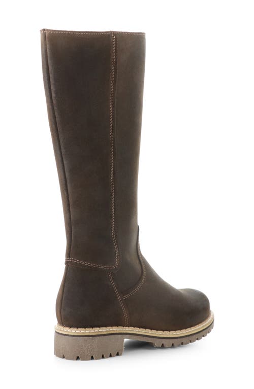 Bos. & Co. Hudson Waterproof Boot In Brown