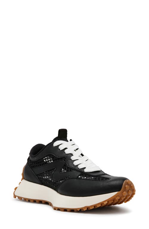 Steve Madden Campo Sneaker In Black Mesh