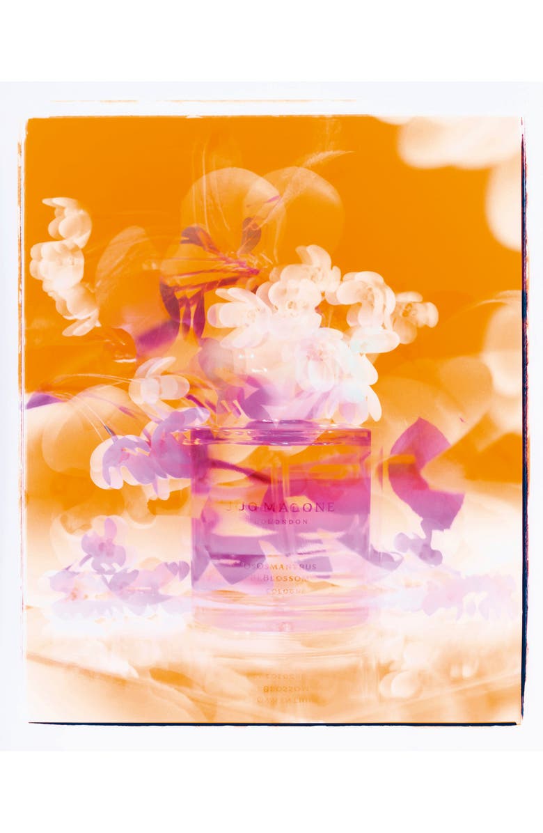 Jo Malone London<sup>™</sup> Osmanthus Blossom Cologne, Alternate, color, 