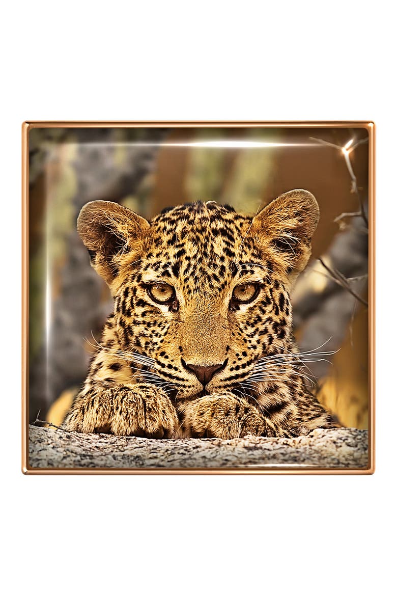 Luminescent Eye Shade Eyeshadow, Alternate, color, LEOPARD