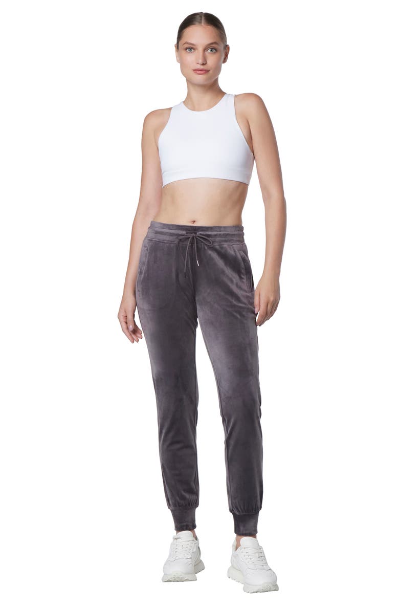 Andrew Marc Sport Drawstring Joggers, Alternate, color, 