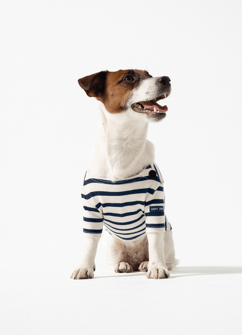 PARISIAN PUP - Authentic Breton Shirt for Dog