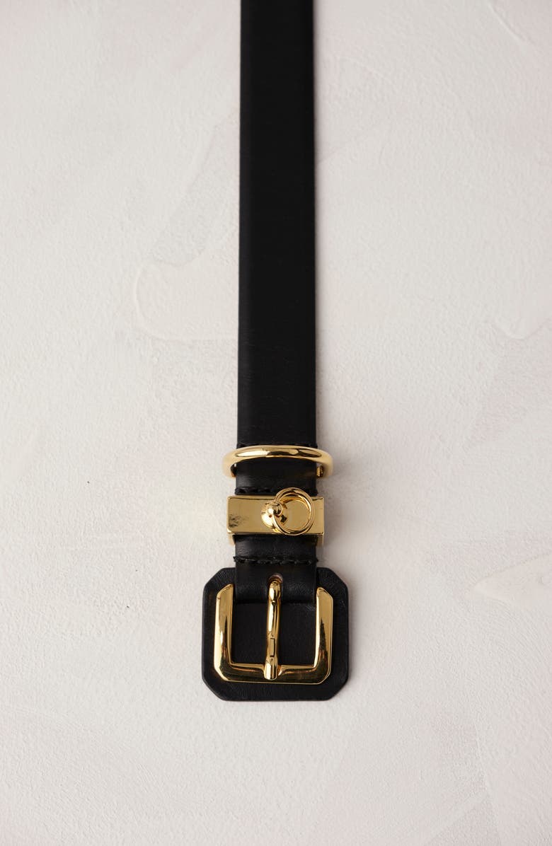 Déhanche Jolinard Leather Belt, Alternate, color, Black/Gold