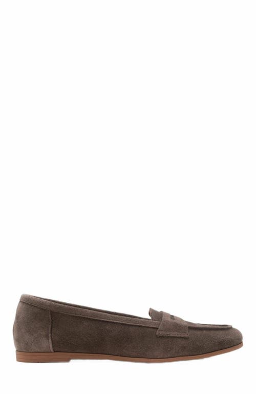 Forever & Always Shoes Dorothy Leather Loafer in Dark Brown Suede Leather at Nordstrom, Size 9.5