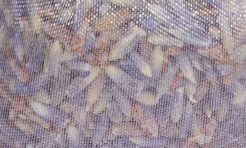 Sonoma Lavender Stonehide Flower Sachet In White