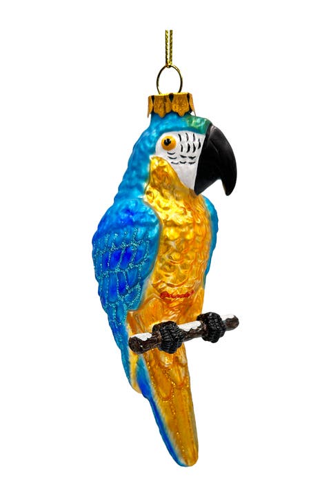 Tropical Parrot On Perch Glass Ornament