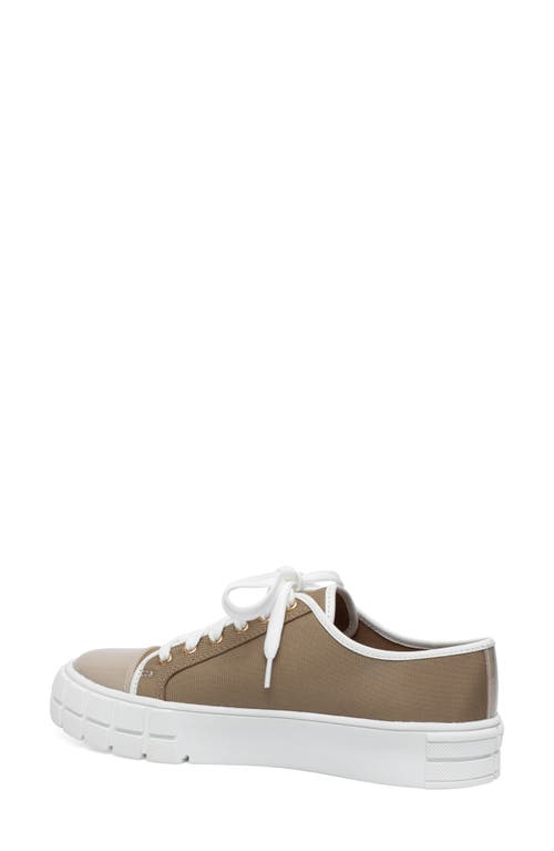 Shop Linea Paolo Kalaia Platform Sneaker In Khaki/lotus