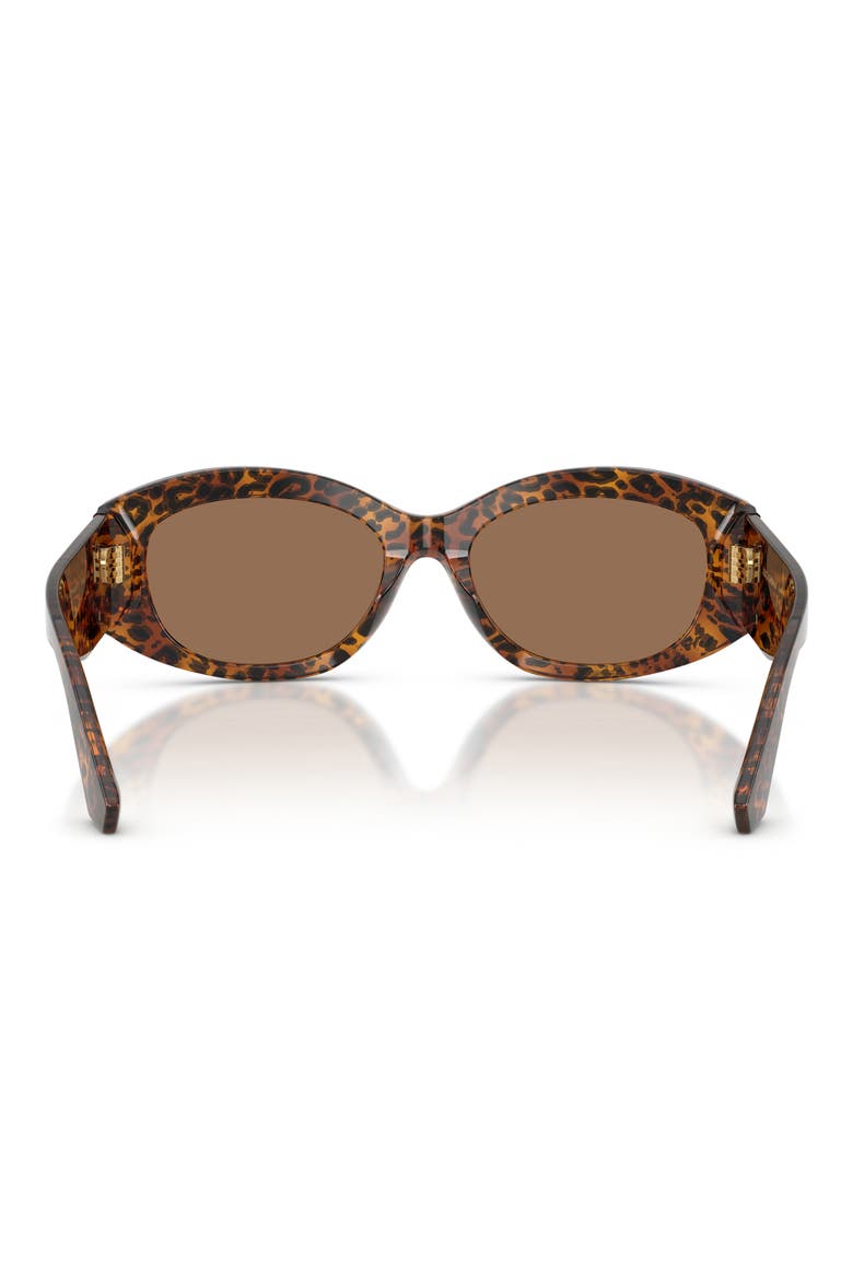 55mm Oval Sunglasses, Alternate, color, LEO TRANSPARENT / DARK BROWN