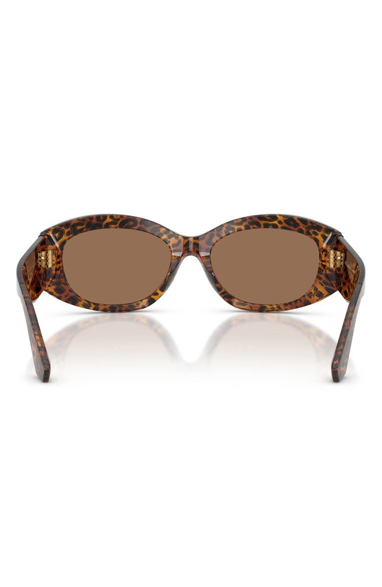 Dolce&Gabbana 55mm Oval Sunglasses, Alternate, color, Leo Transparent / Dark Brown
