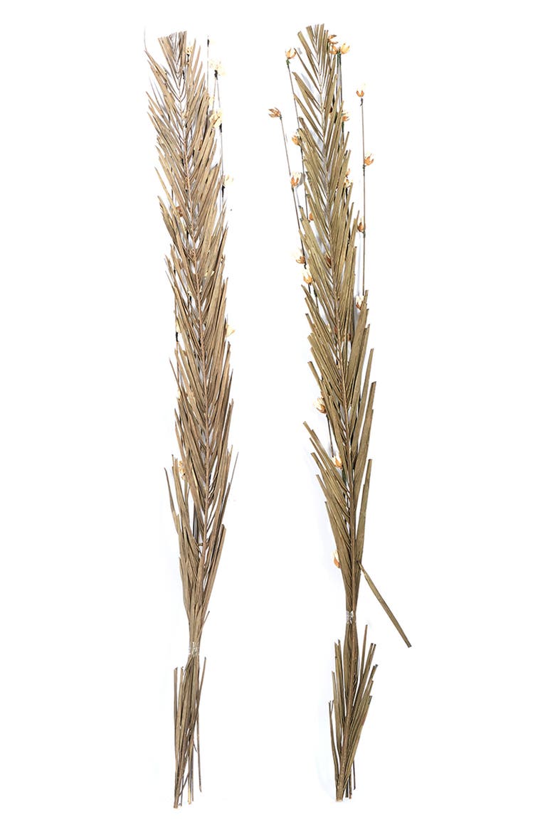 Brown Dried Plant Pigeon Pea Natural Foliage - Set of 2, Alternate, color, BROWN