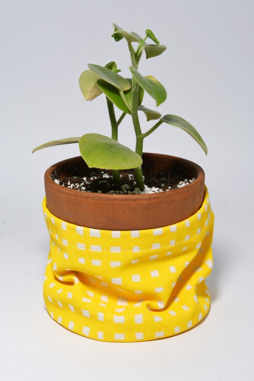 Dance Happy Micro Grid Round Bin/canvas Planter In Sunshine Yellow