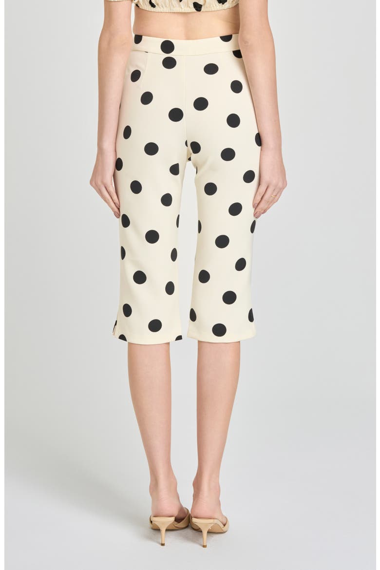 Marcy Polka Dot Capri Pants, Alternate, color, ANT IVORY POLKA DOT