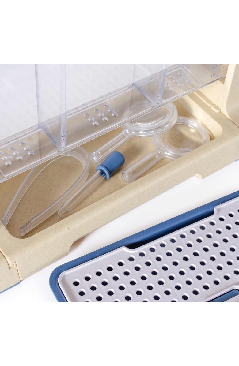 Kaplan Early Learning Company Explore and Discover 3 Section Root View Planter, Alternate, color, Clear