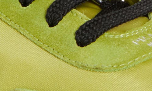 Prada Collapse Mixed Media Low Top Sneaker In Lime