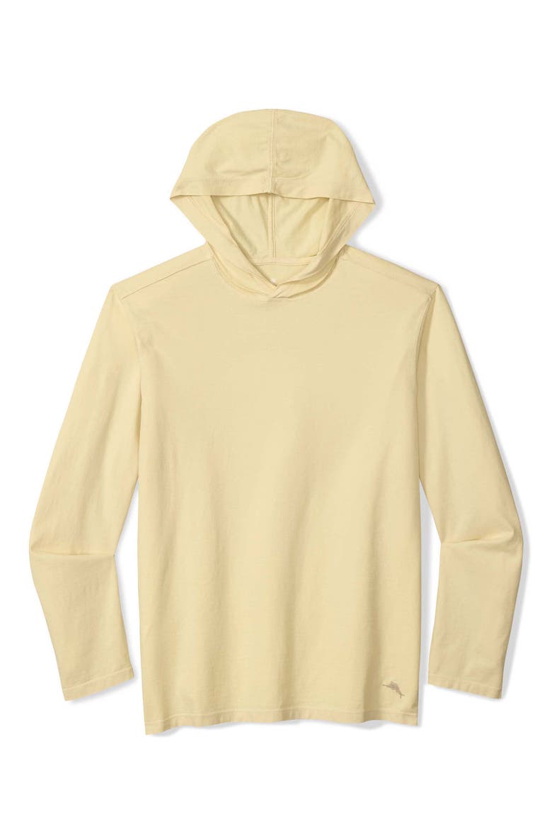 Kauai Keys Hooded Long Sleeve T-Shirt, Alternate, color, ABALONE