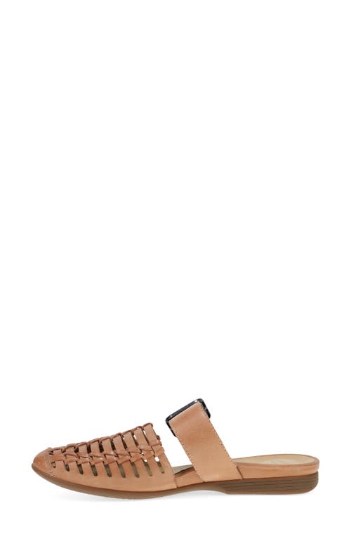 Dansko Leilani Pointed Toe Mule In Light Tan Burnished Nappa