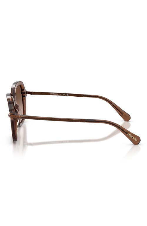 Swarovski 50mm Small Irregular Sunglasses In Brown