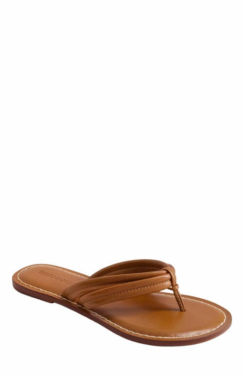 Shop Bernardo Footwear Miami Thong Sandal In Mahogany
