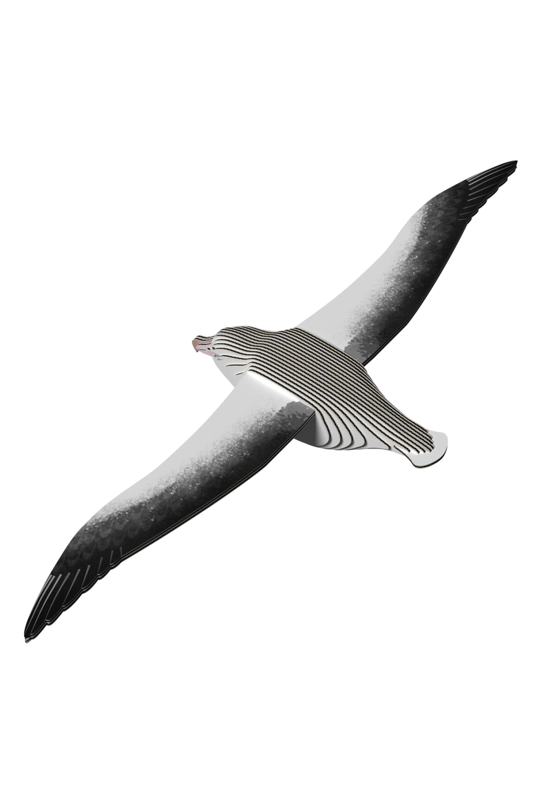 Royal Albatross 3D Puzzle, Alternate, color, No Color