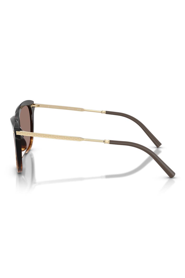 x Roger Federer Mr. Federer 55mm Cat Eye Sunglasses, Alternate, color, CORTADO / SIERRA