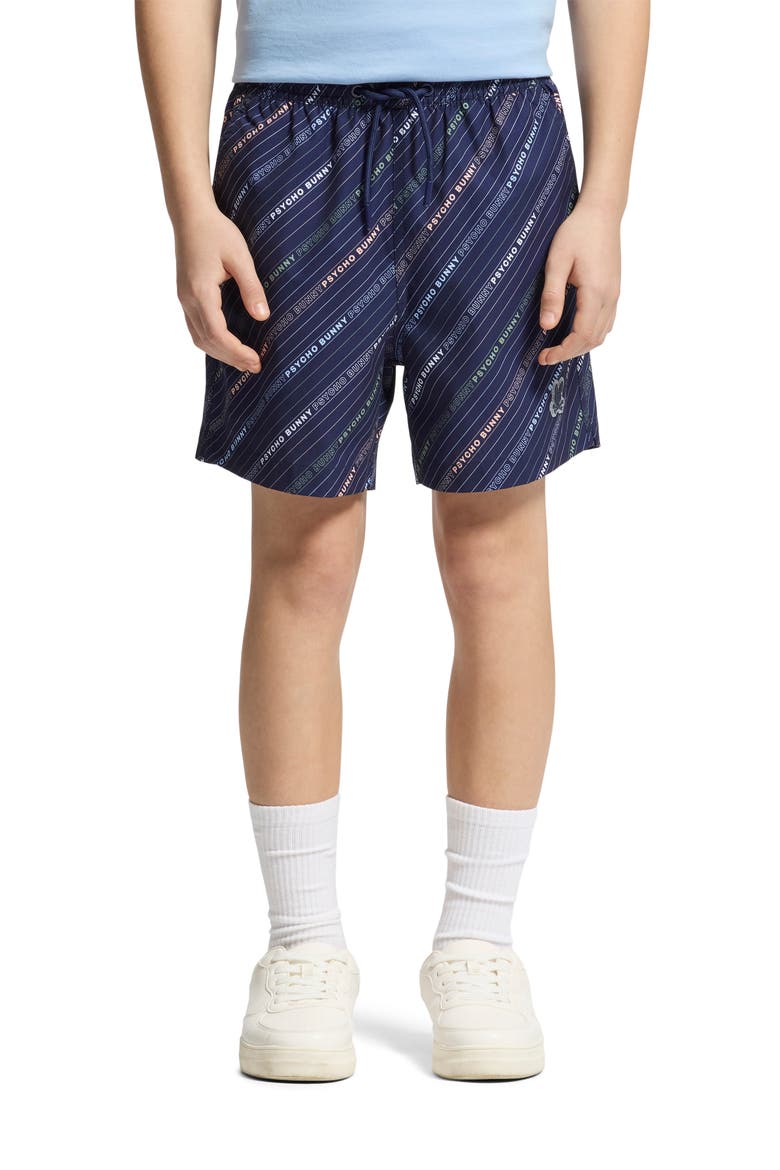 Kids' Renmark Swim Trunks, Alternate, color, EVENING BLUE