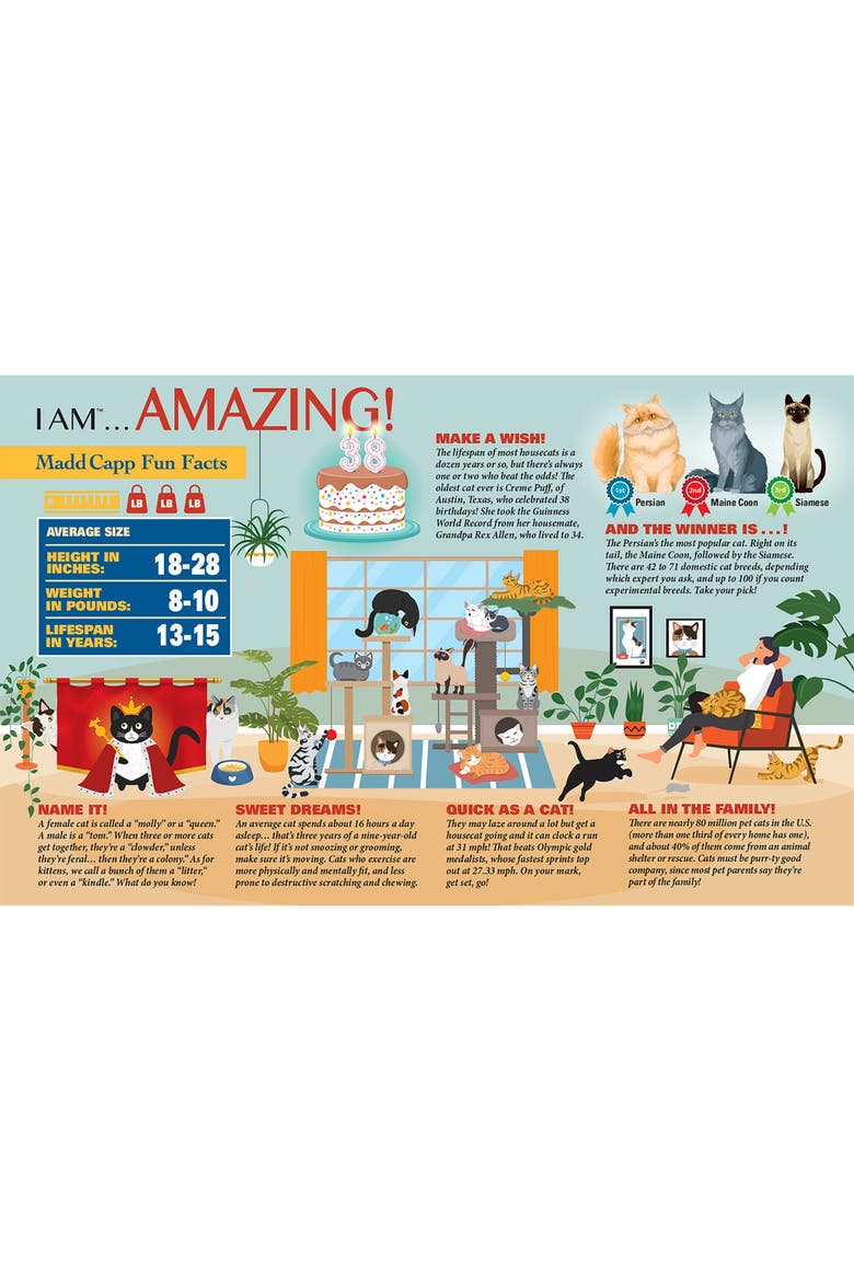 I Am Cat 550 Piece Puzzle Feline Shaped Animal Jigsaw, 30 X 30", Alternate, color, Multicolored