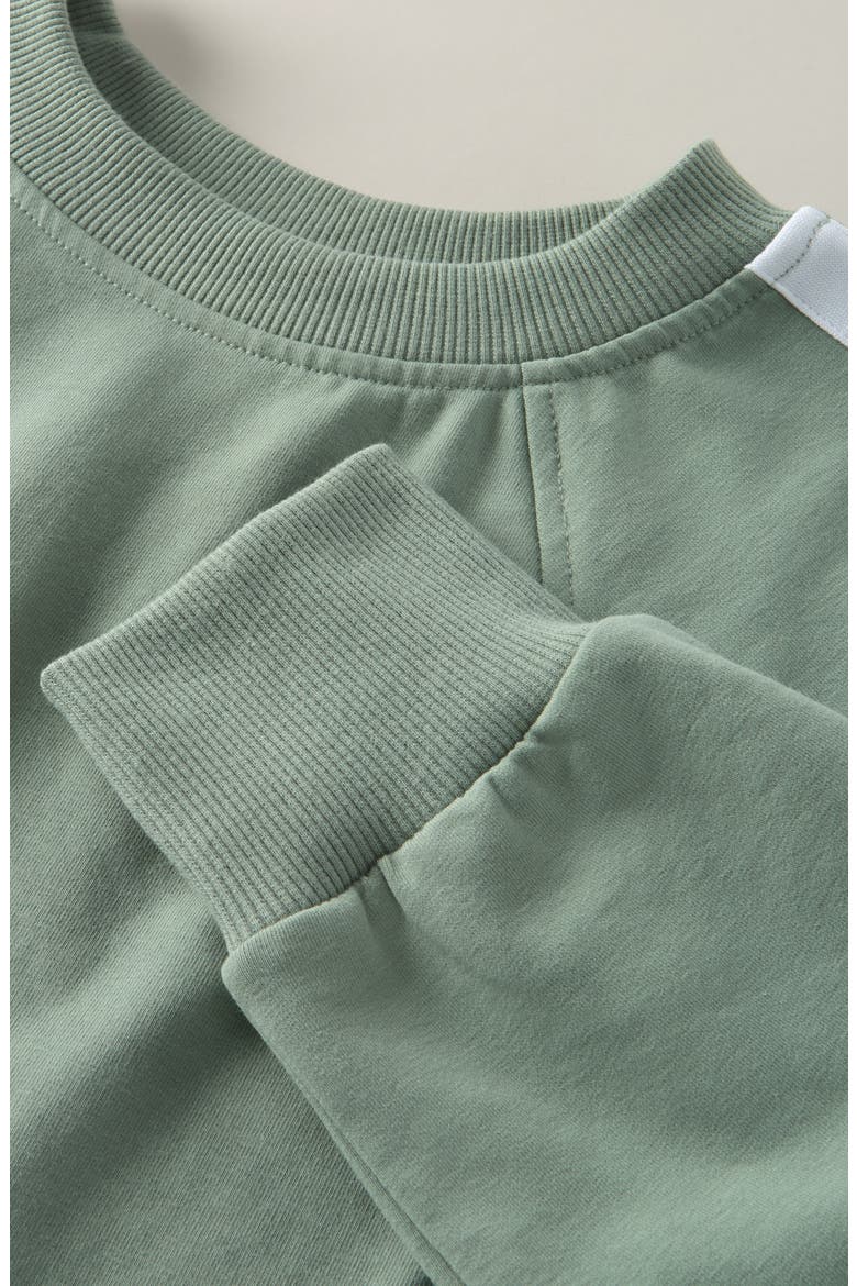 Kids' Vibe Check Cotton Blend French Terry Pullover, Alternate, color, GREEN LILYPAD