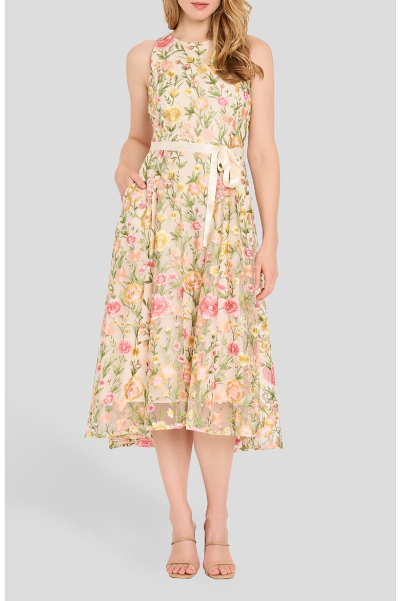 Embroidered Sleeveless Midi Dress, Main, color, BUTTERCUP MULTI