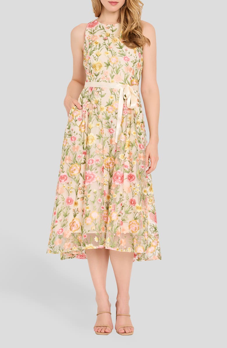 Tahari ASL Embroidered Sleeveless Midi Dress, Main, color, Buttercup Multi