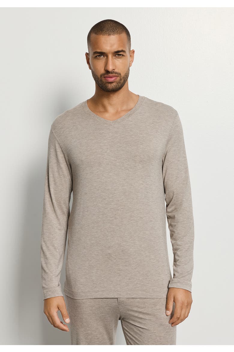 Casuals Long Sleeve V-Neck Top, Alternate, color, Hazelnut Melange